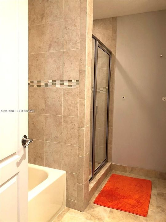 Master bathroom tub and shower combination