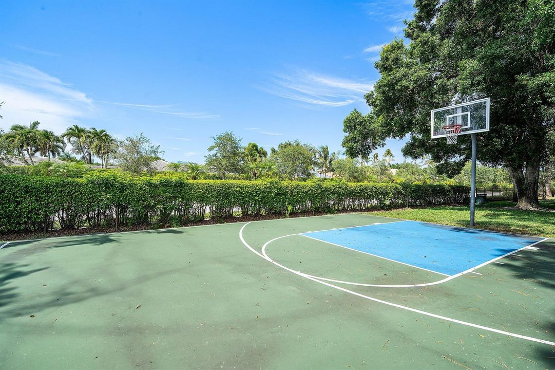 Basketball Court