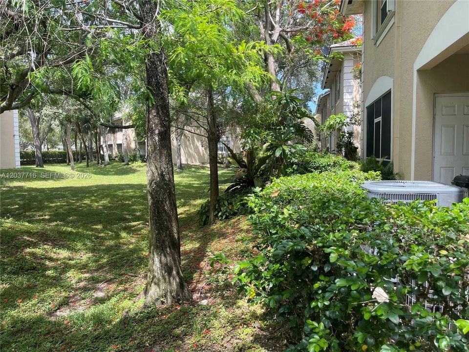 from Patio
