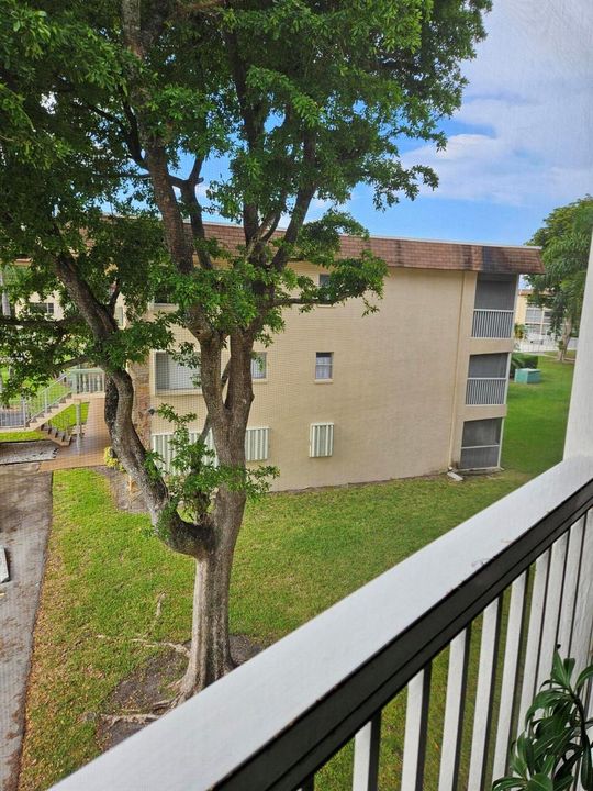 View from Balcony