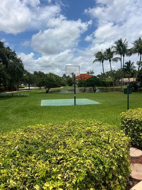 Basketball court