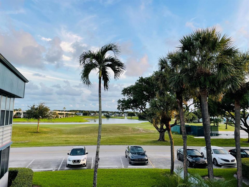 Balcony View