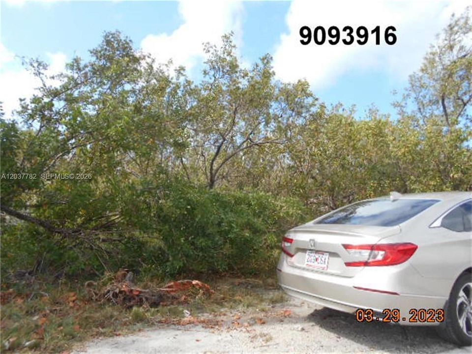 For Sale: $215,000 (0.18 acres)