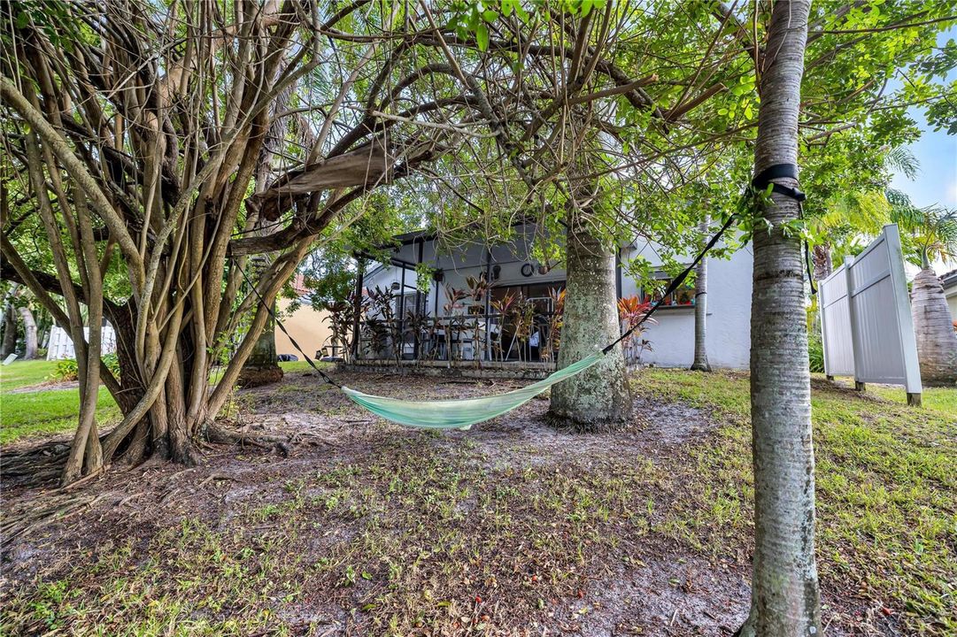 Backyard