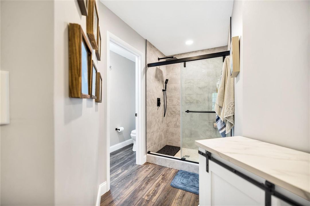 Primary Shower