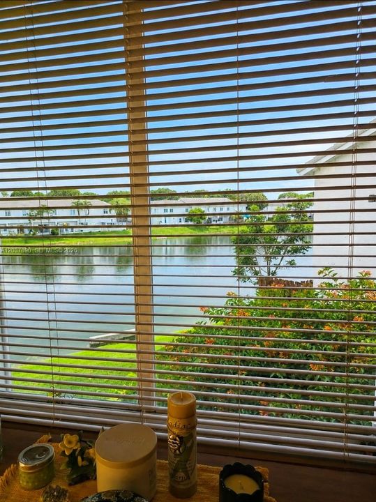 Master window view