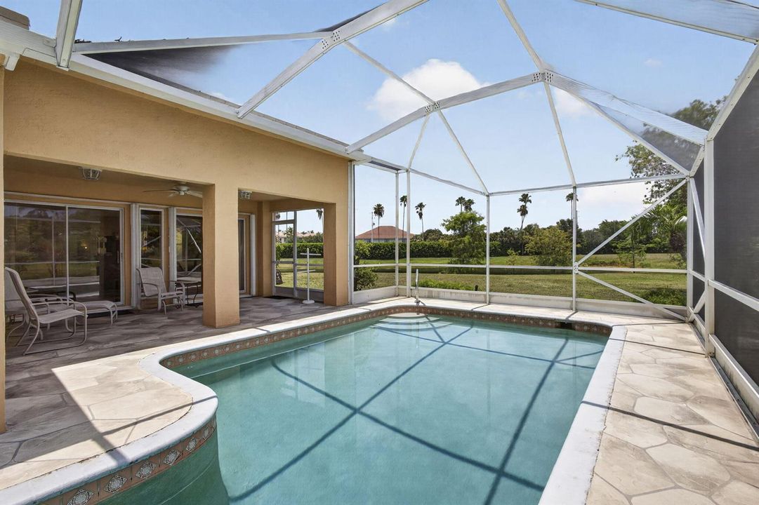 Pool / Patio