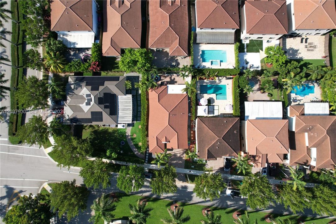 Bird Eye View
