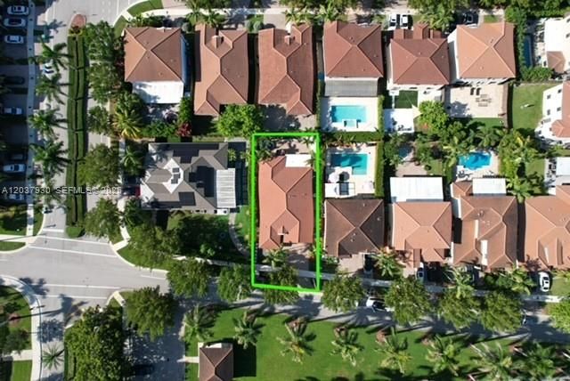 Bird Eye View