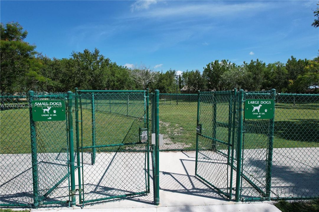 Dog Area