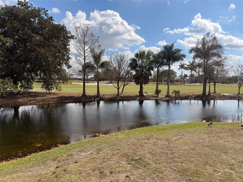 For Sale: $237,000 (2 beds, 1 baths, 965 Square Feet)