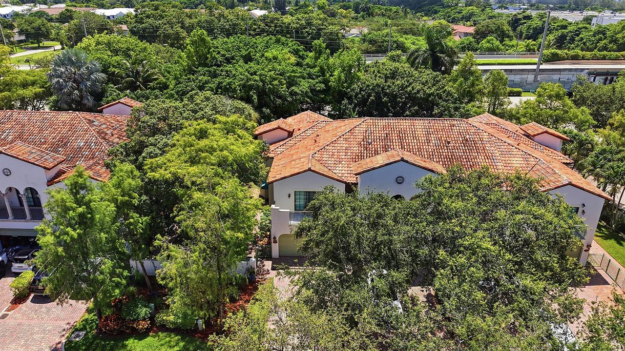 42_aerial view