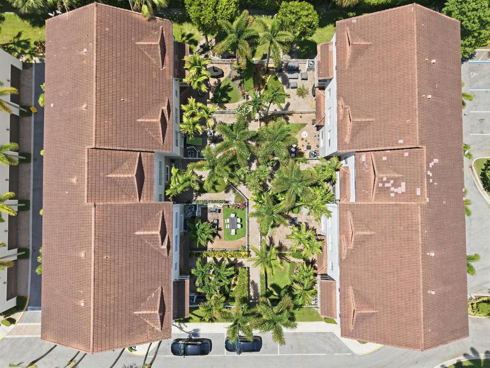 aerial1