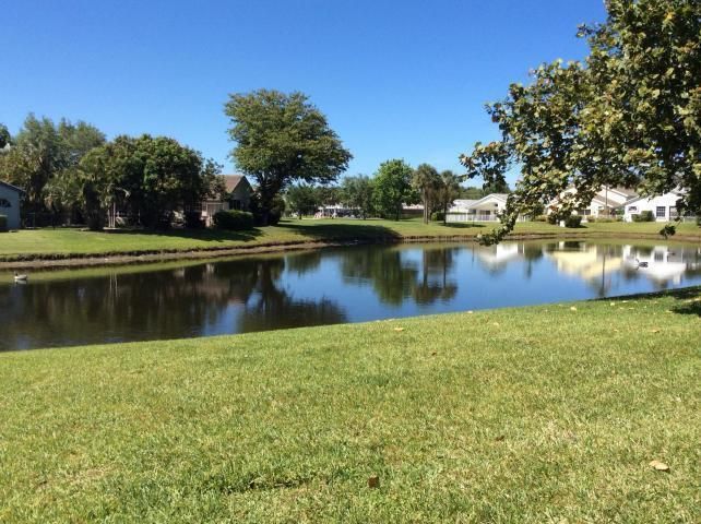 Backyard Lake View