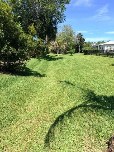 4393 backyard 2