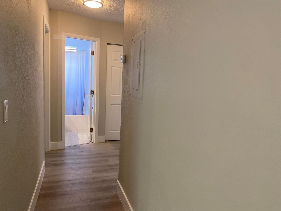 IMG_3286