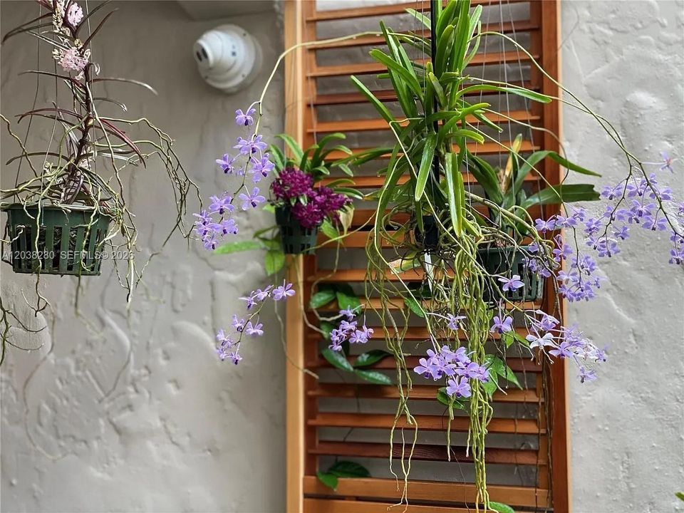 En Renta: $9,500 (3 camas, 2 baños, 2337 Pies cuadrados)