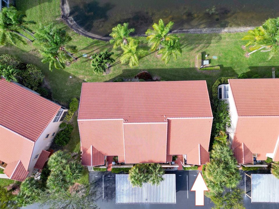 Building Above