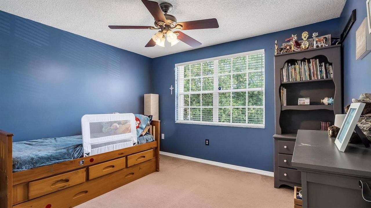 43-web-or-mls-3