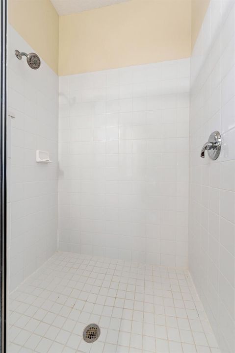 Primary Bath Shower