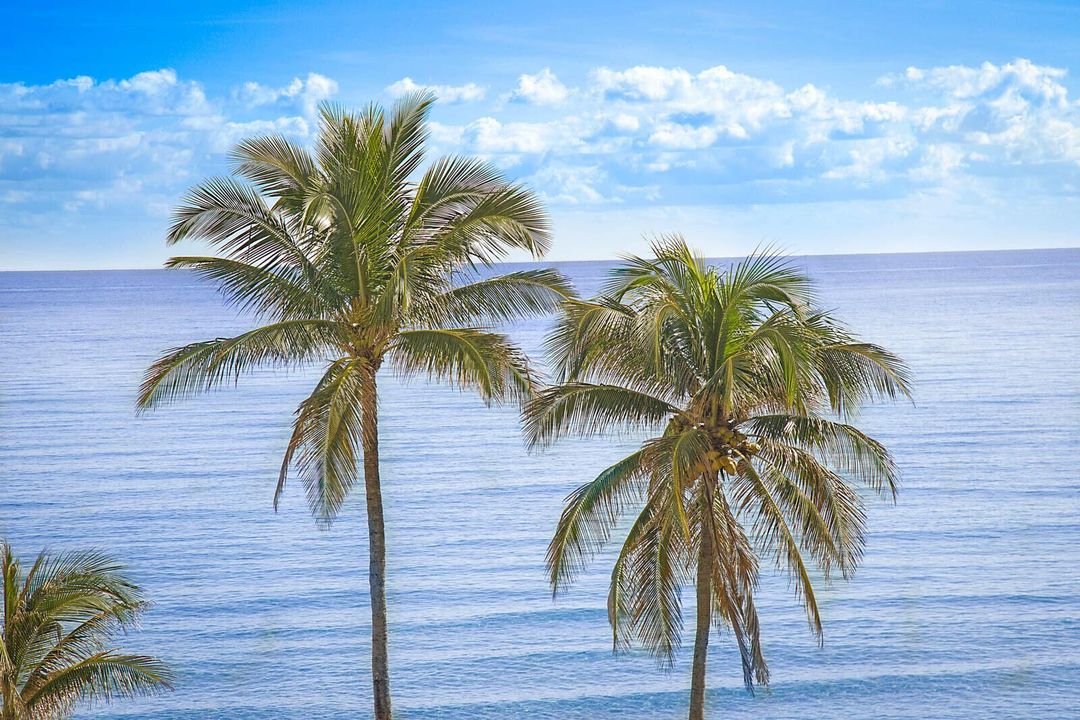 38_2917_S_Ocean_Blvd_Unit_4038_mls