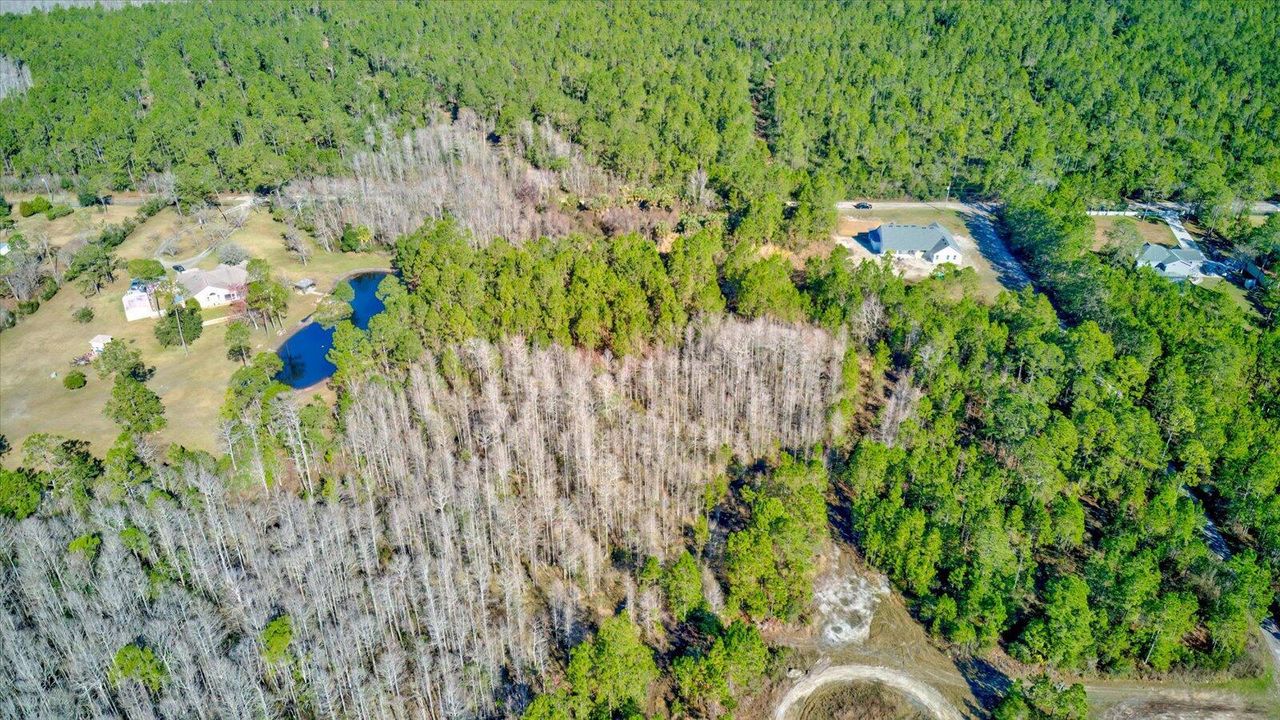 26-Volusia Parcel #402600000080-Lot8-22
