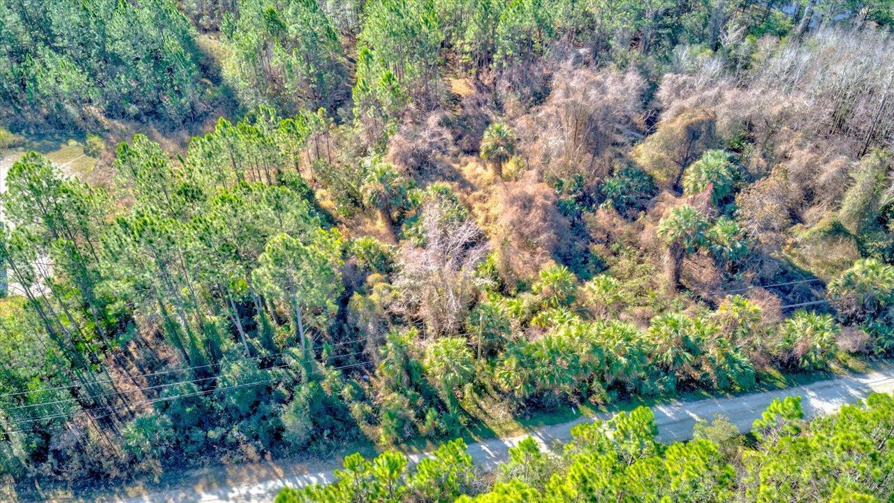 08-Volusia Parcel #402600000080-Lot8-3
