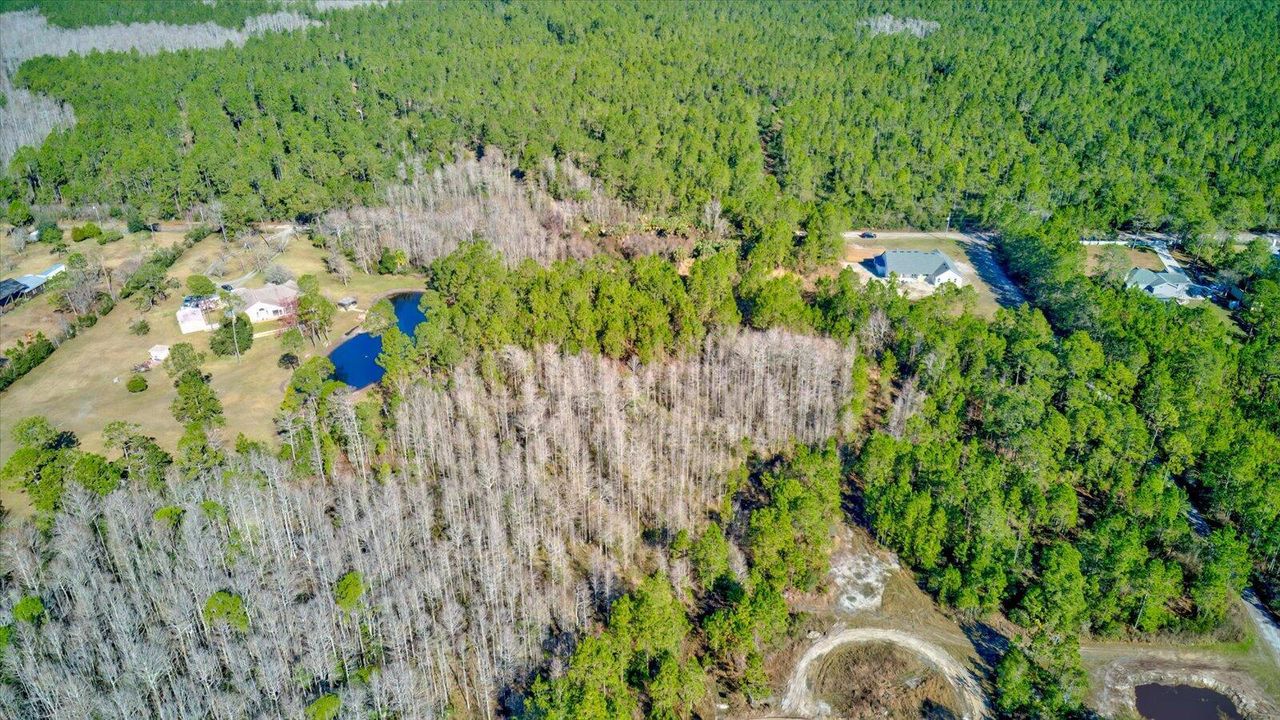 27-Volusia Parcel #402600000080-Lot8-24