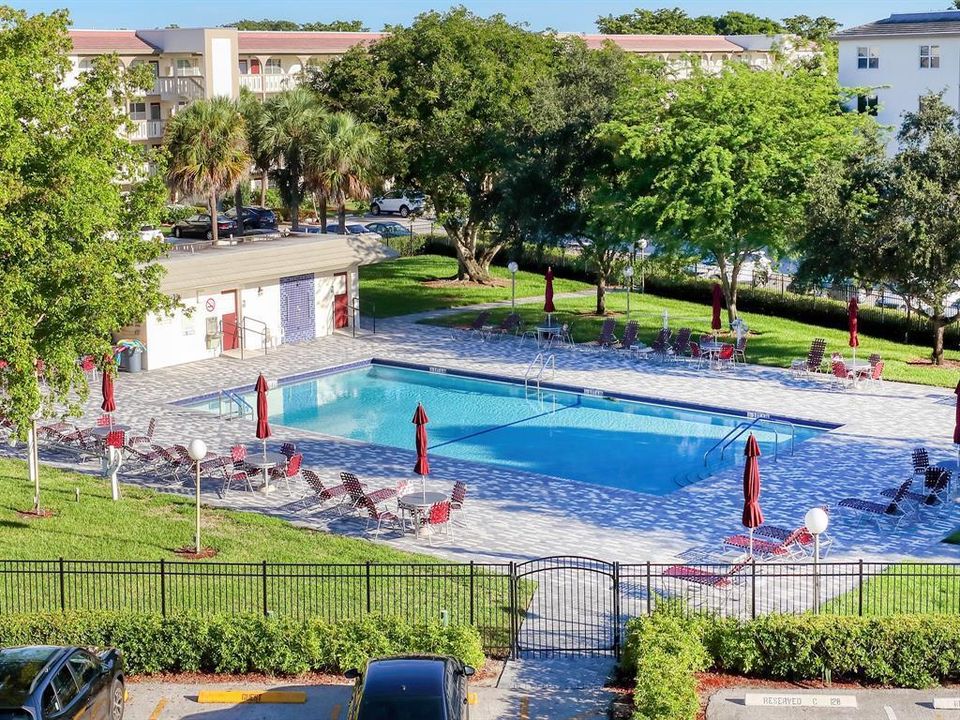Bimini Pool