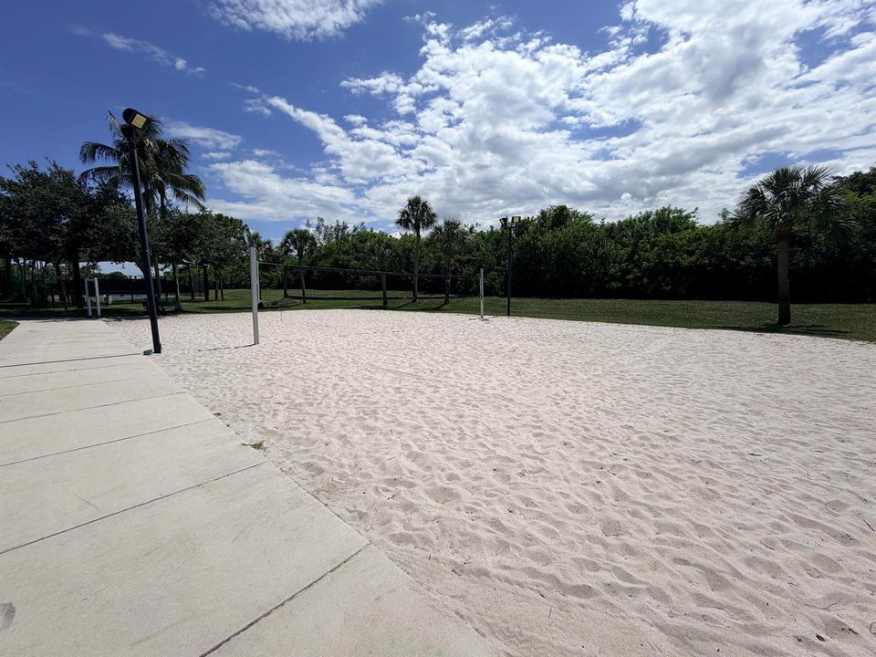 Volleyball court