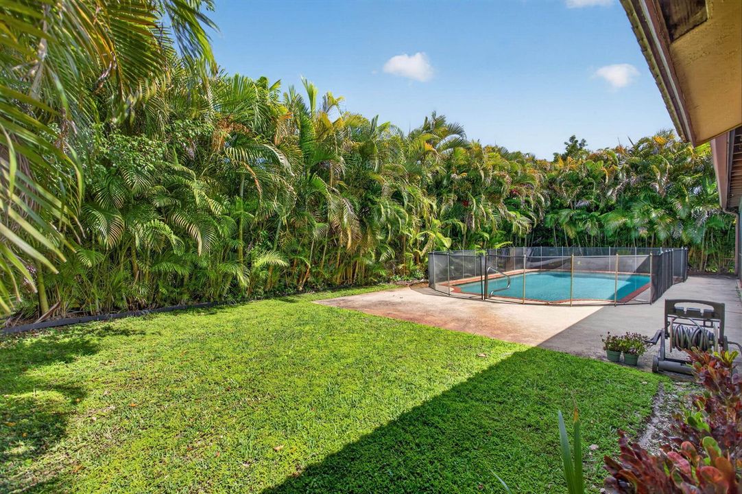 Backyard