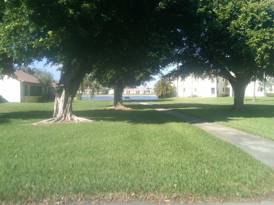 IMG00009-20110215-1505
