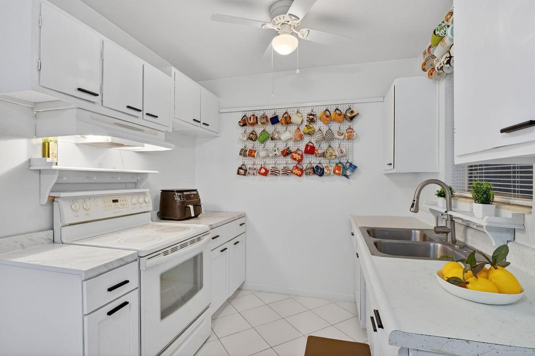 49-web-or-mls-P1293508