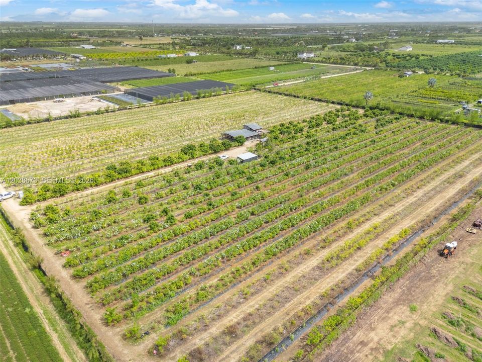 На продажу: $1,650,000 (10.00 acres)