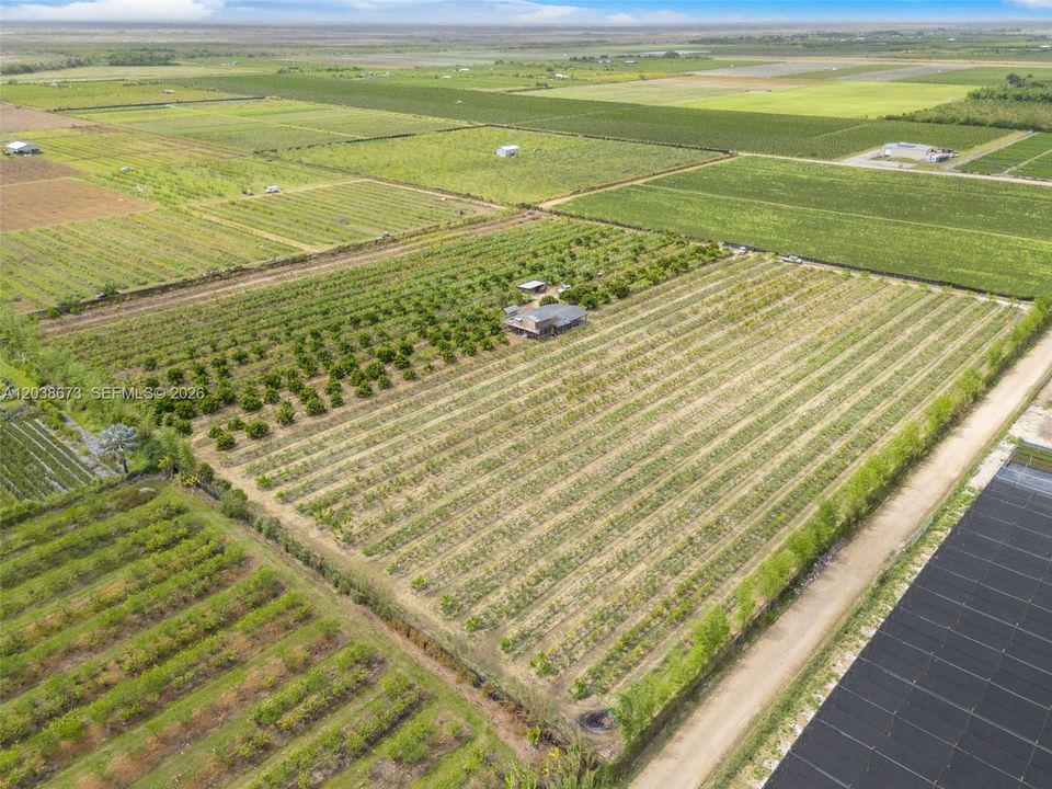 На продажу: $1,650,000 (10.00 acres)