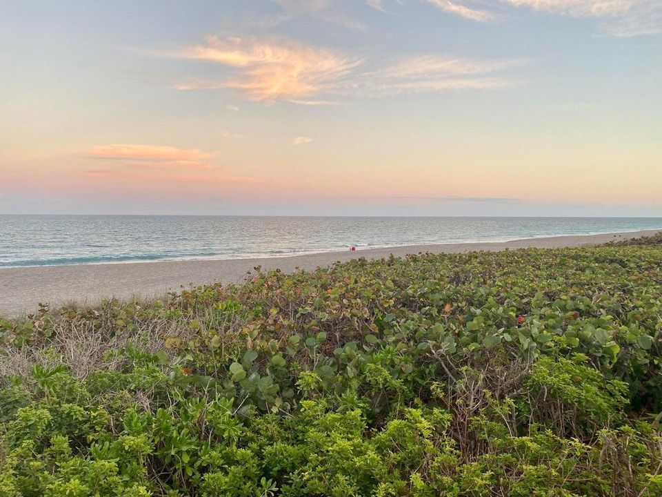 Juno Beach
