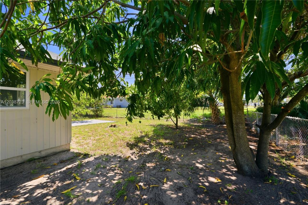 В аренду: $2,900 (4 спален, 1 ванн, 1032 Квадратных фут)