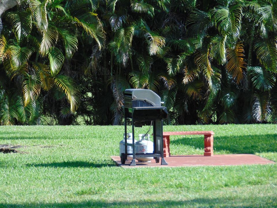 BACK YARD GAS GRILL