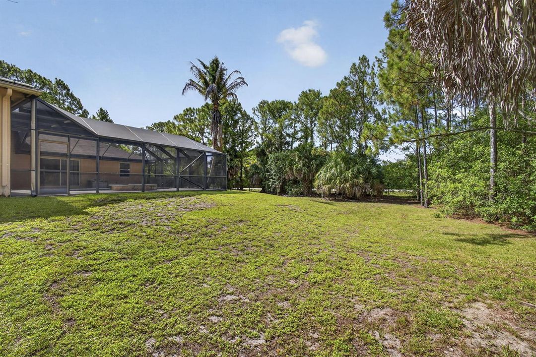 56-web-or-mls-BS1A1677