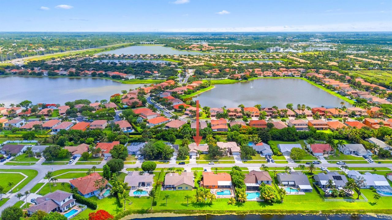 IMG_6979