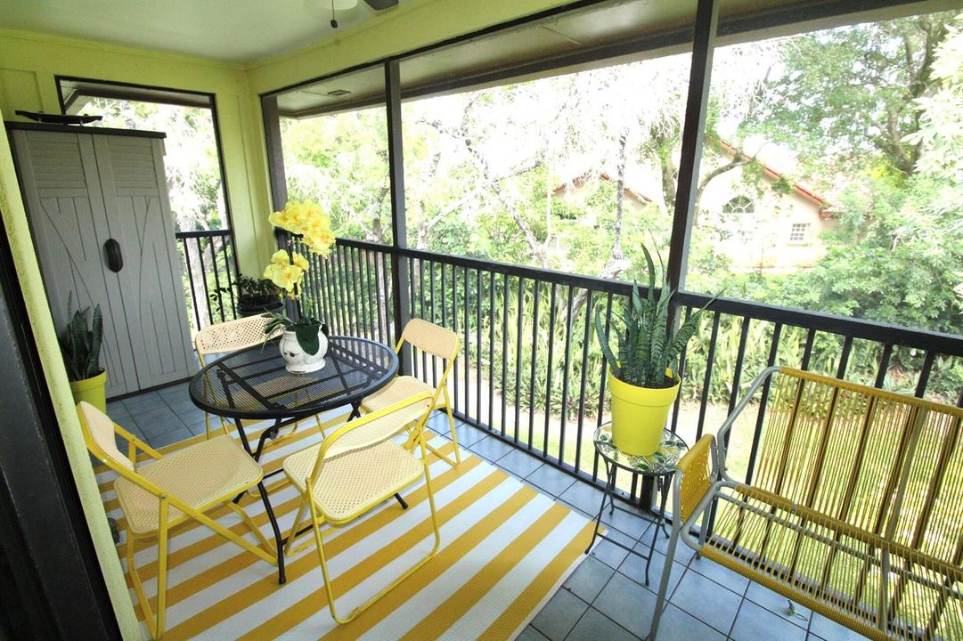 LARGE SCREENED-IN BALCONY 2