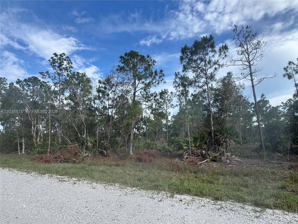 待售: $260,000 (5.00 acres)