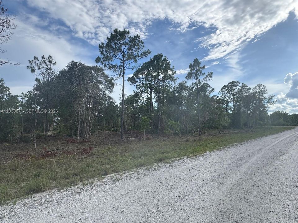 待售: $260,000 (5.00 acres)