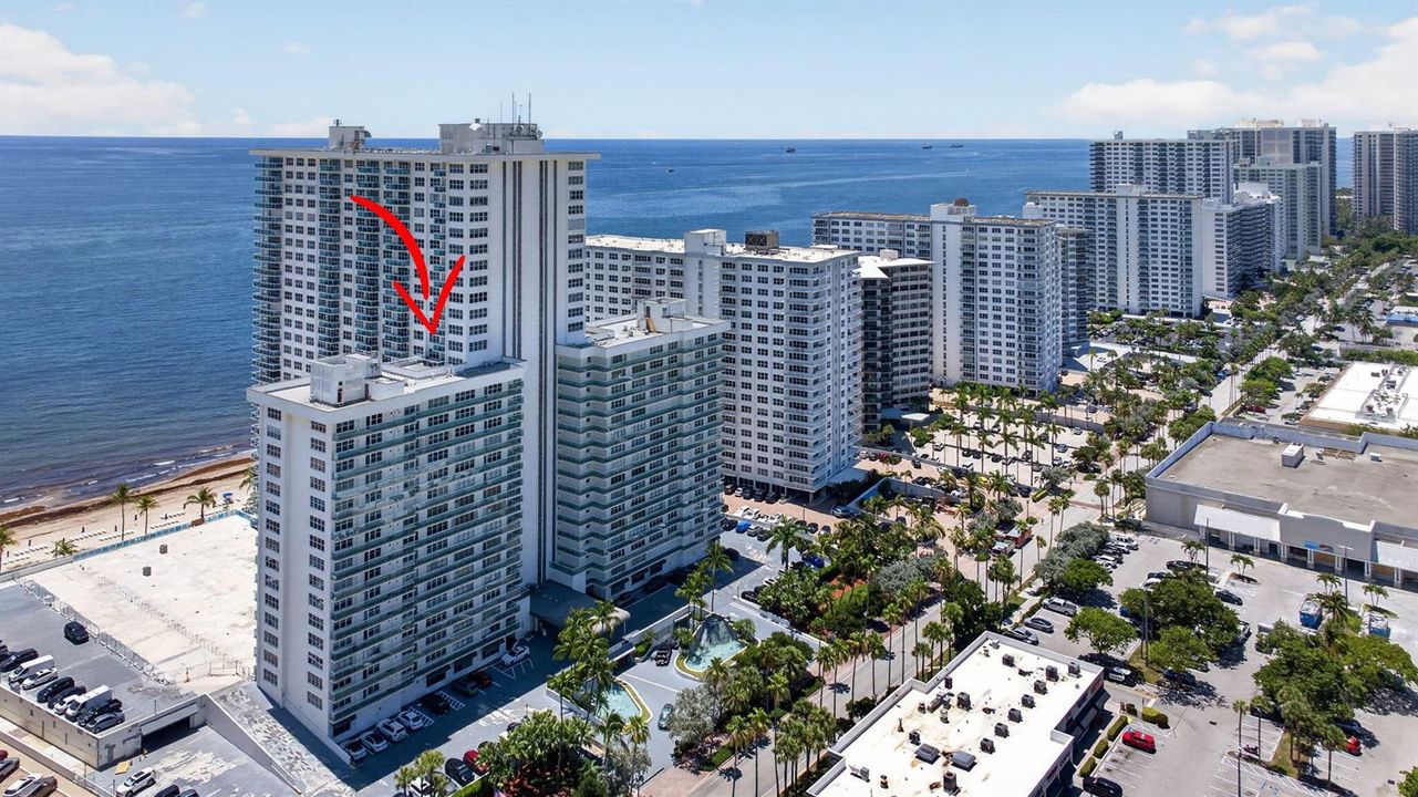 52-web-or-mls-3900--4