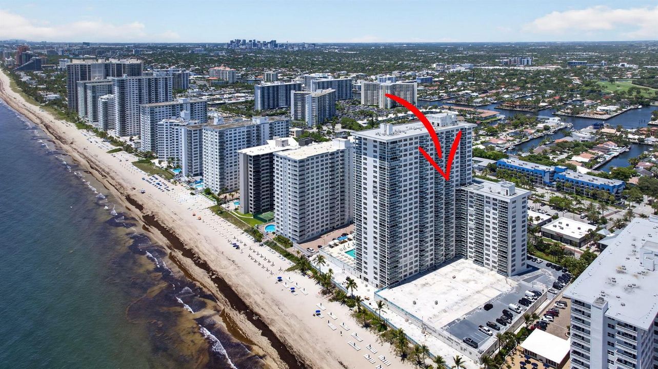 56-web-or-mls-3900--8