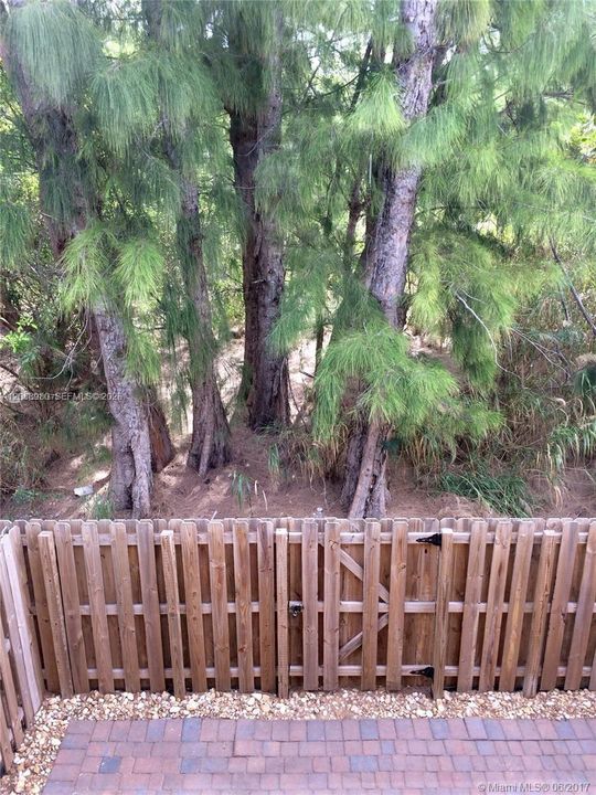 NO BACK NEIGHBORS