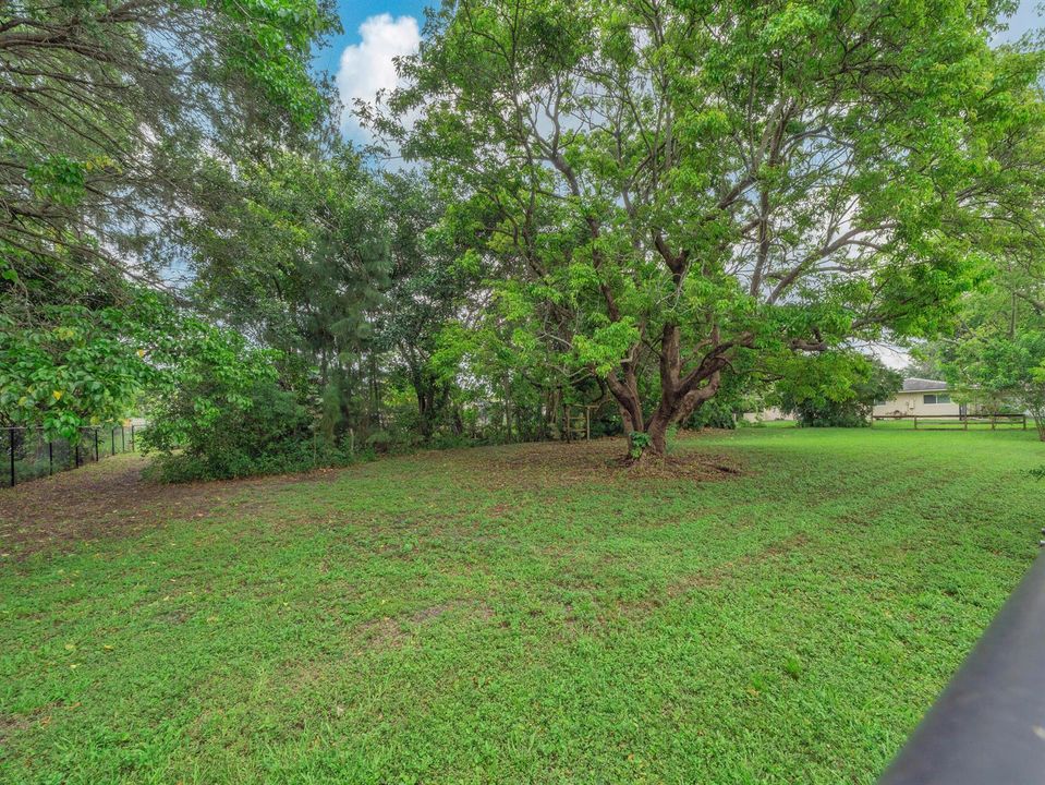 31 Undeveloped Lot (2)