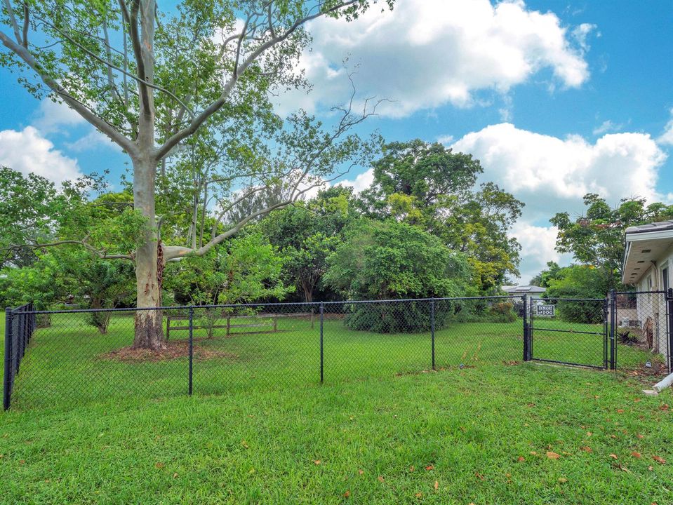 31 Undeveloped Lot (1)