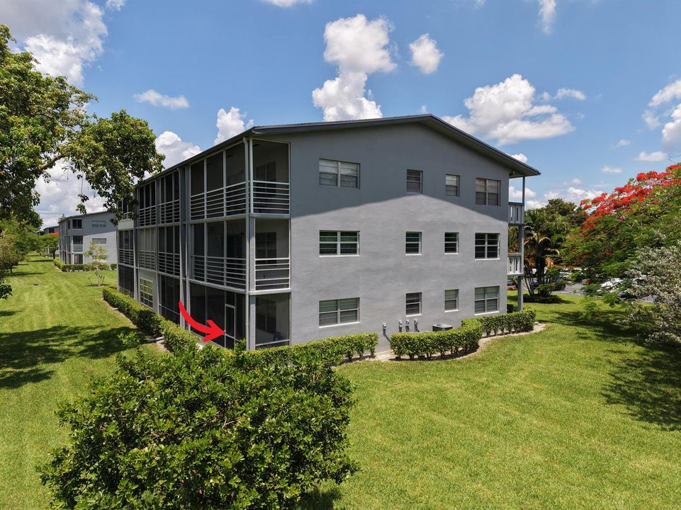 7 Backyard (2)