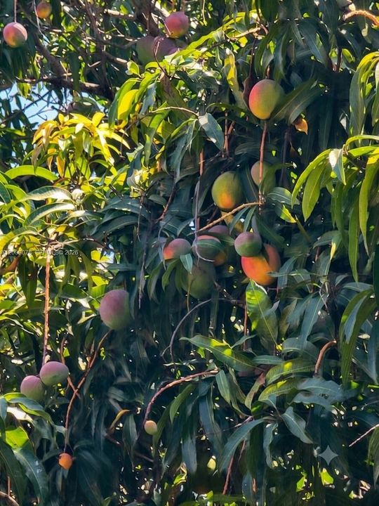 На продажу: $950,000 (4 спален, 2 ванн, 2550 Квадратных фут)